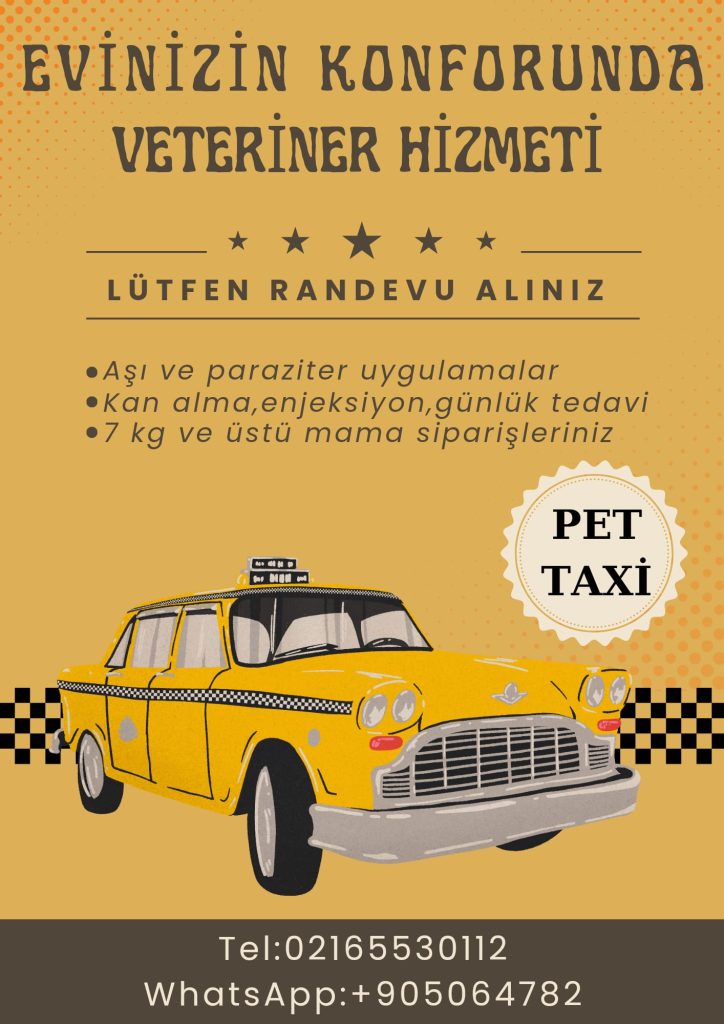 VetArt Pet Taksi (Pet Taxi)